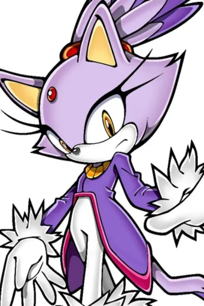 Blaze the Cat