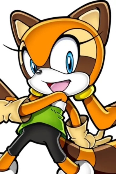 Marine the Raccoon