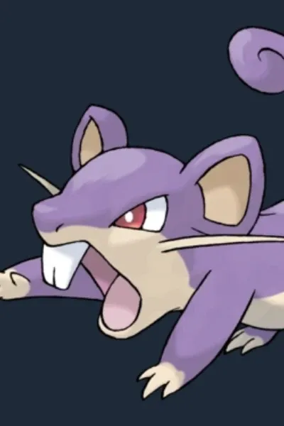 Rattata