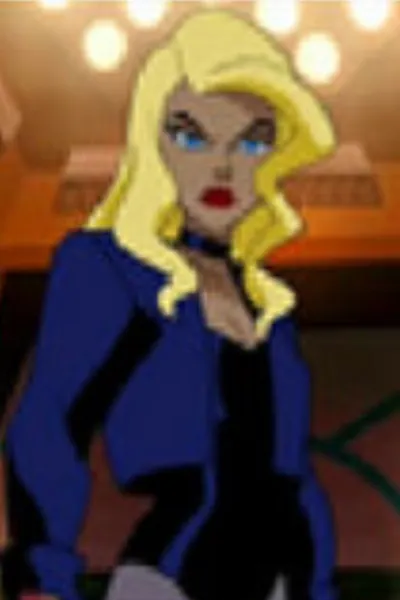 Dinah Lance/Black Canary photo 2