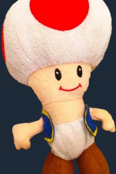 Toad
