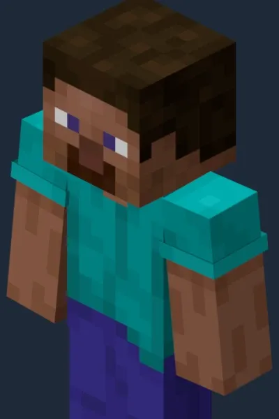 Steve