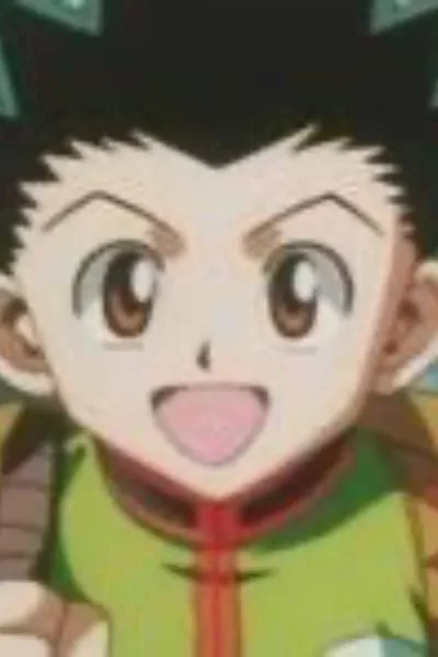 Gon Freecss