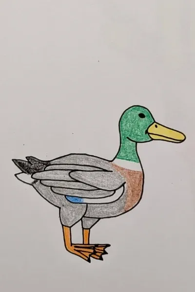 Daniel the magic duck