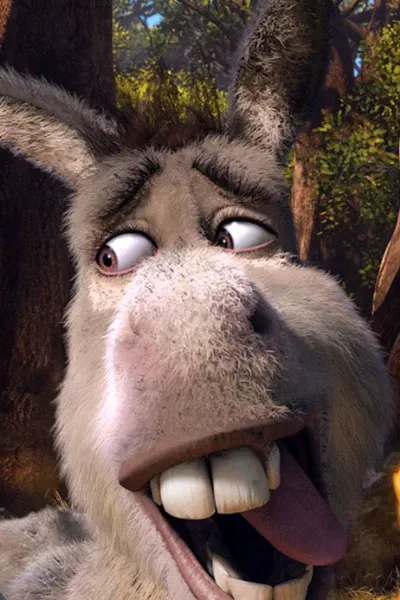 Donkey