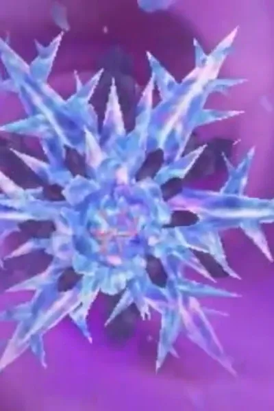 Bittercold