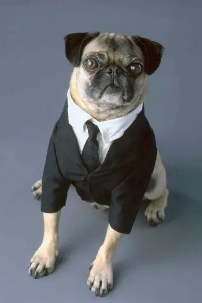 Frank the Puglian