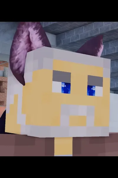 Mr. Gavin