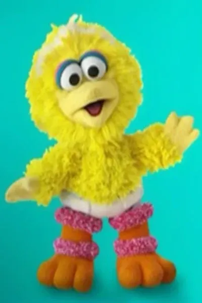 Baby Big Bird