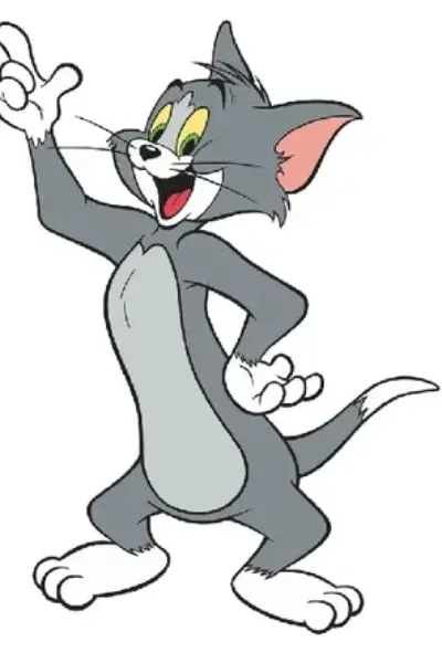 Tom cat