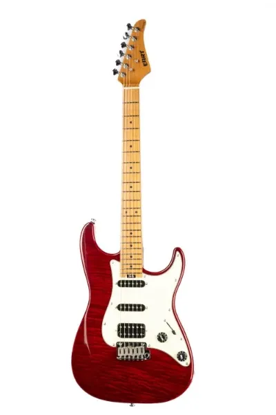 Electric Guitar