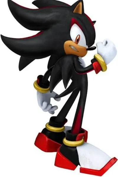 Sonic photo 1