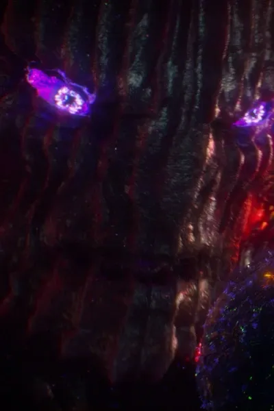 Dormammu