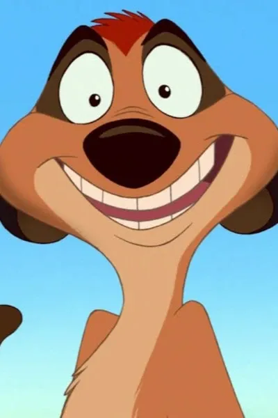 Timon