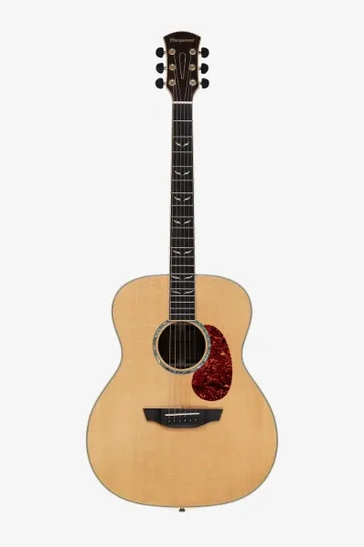 Acoustic Guitar