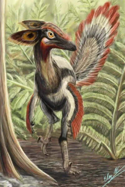 Philovenator