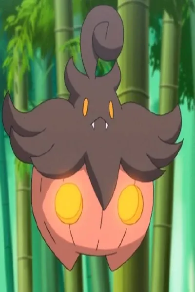 Pumpkaboo