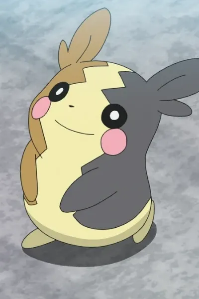 Morpeko