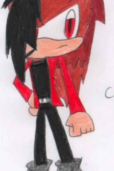 Glide The Hedgehog
