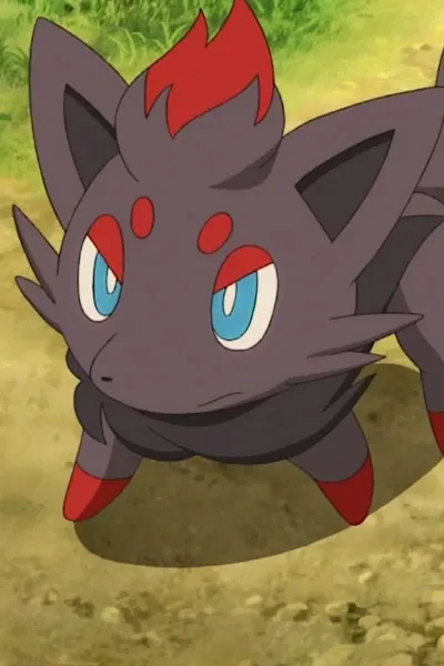 Zorua