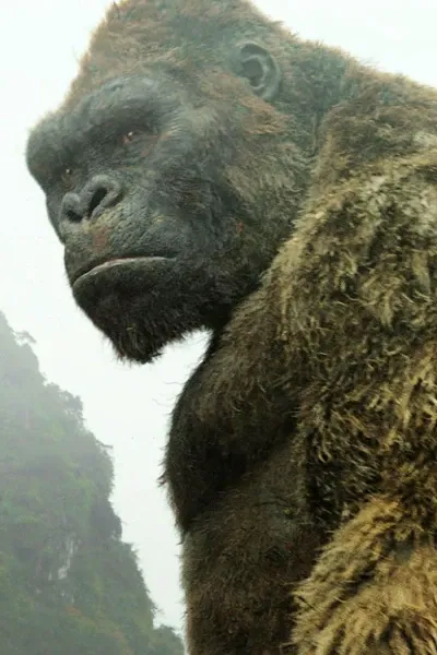 Kong