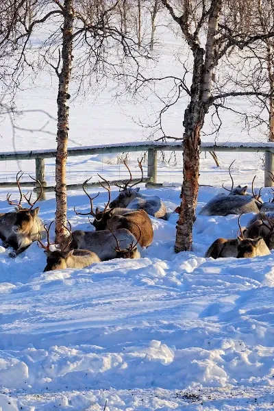 Polar Park
