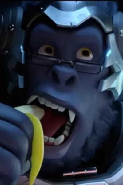 Winston