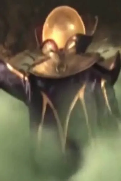 Mysterio