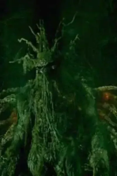 Man-Thing