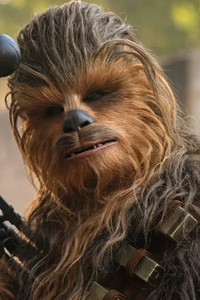 Chewbacca
