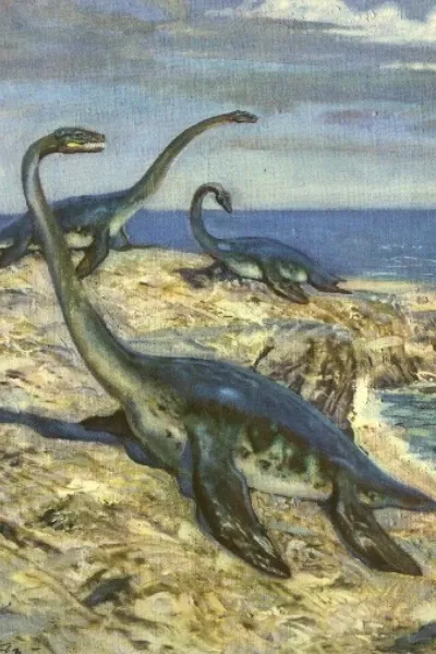 Hydrorion