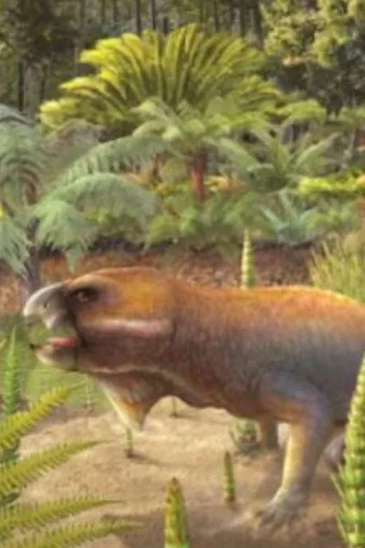 Niassodon
