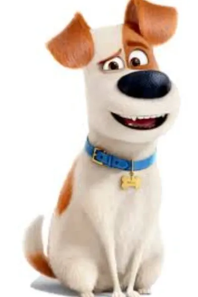 max