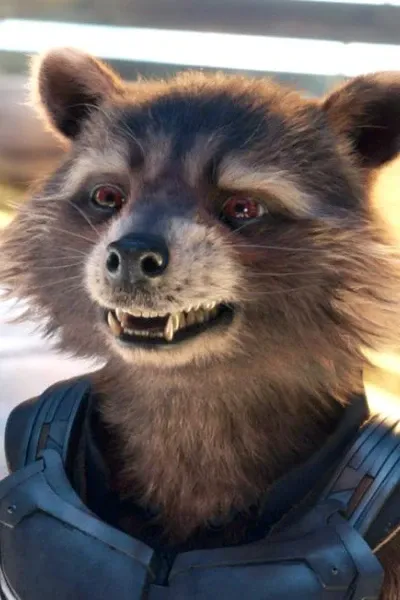 Rocket