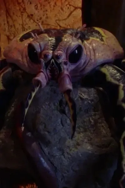 Scorpius