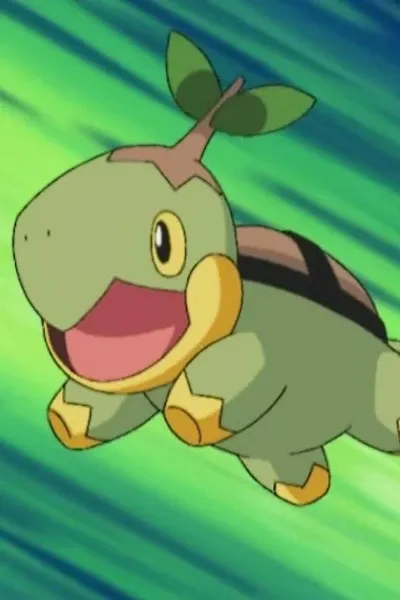 Turtwig