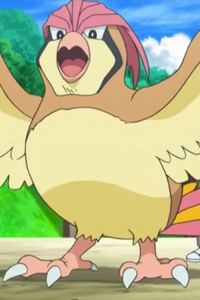 Pidgeotto