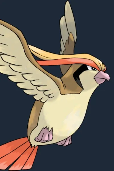 Pidgeot