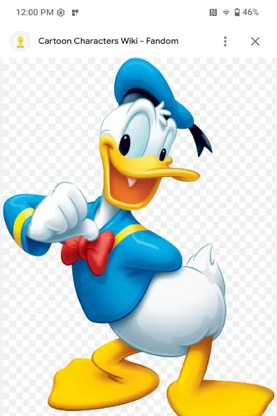 Donald duck