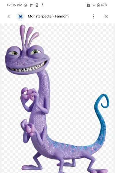 Randall boggs