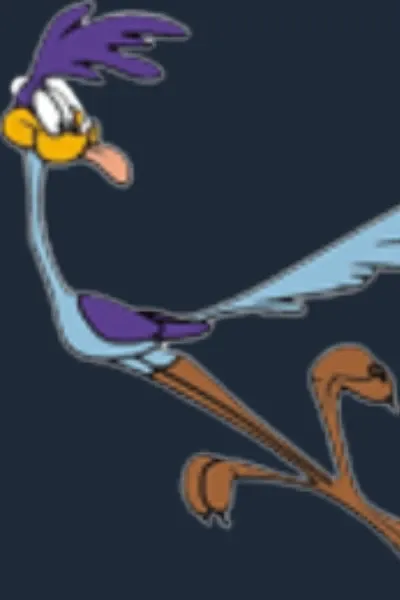 Road runner