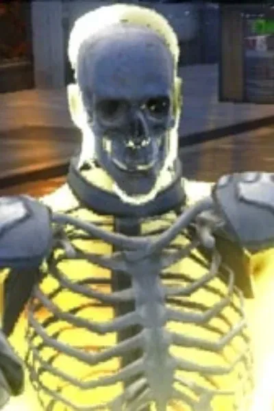 X-Ray