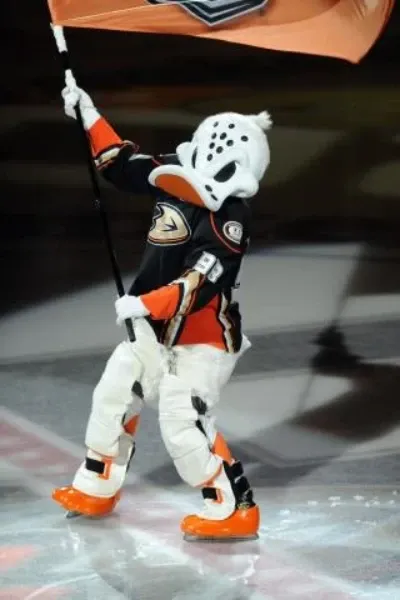 Wild Wing