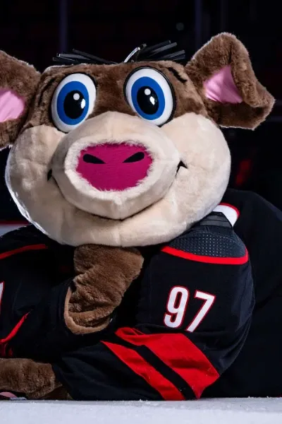 Stormy The Ice Hog