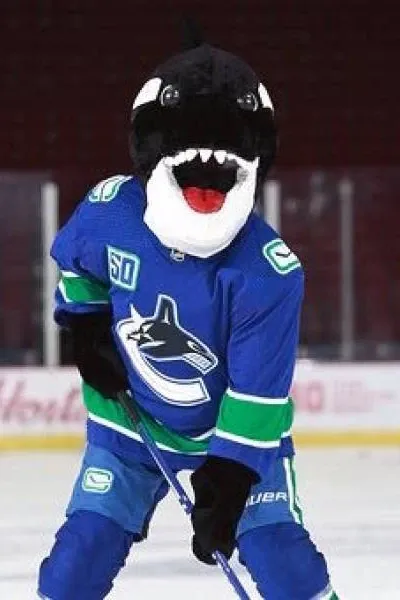 Fin