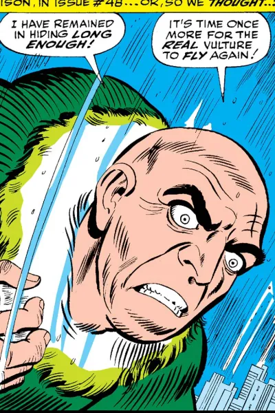 The Vulture