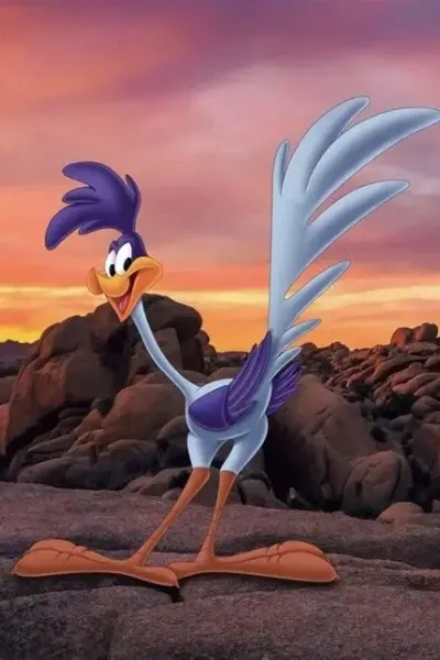 Road Runner