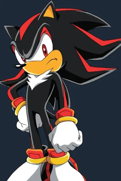 Shadow the Hedgehog