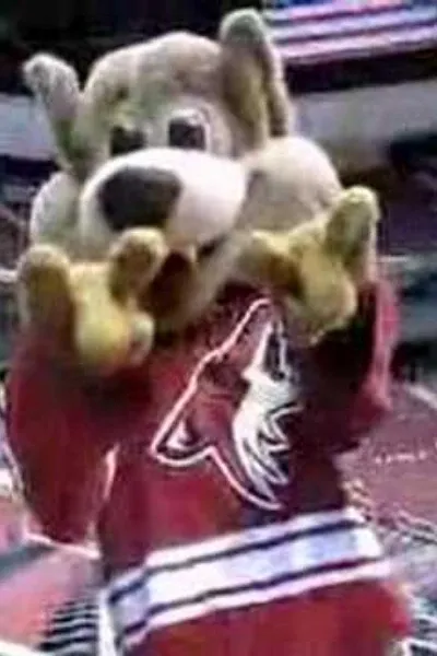 Howler (Phoenix Coyotes mascot)