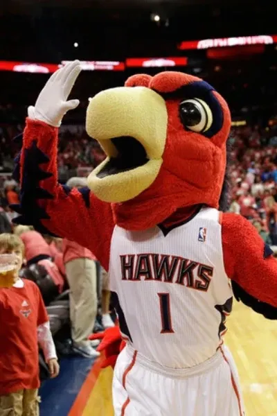 Harry the Hawk